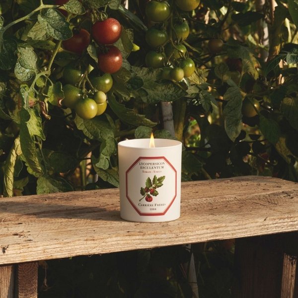 BOUGIE TOMATE 185 G