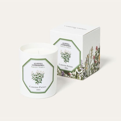 BOUGIE VERVEINE 185 G